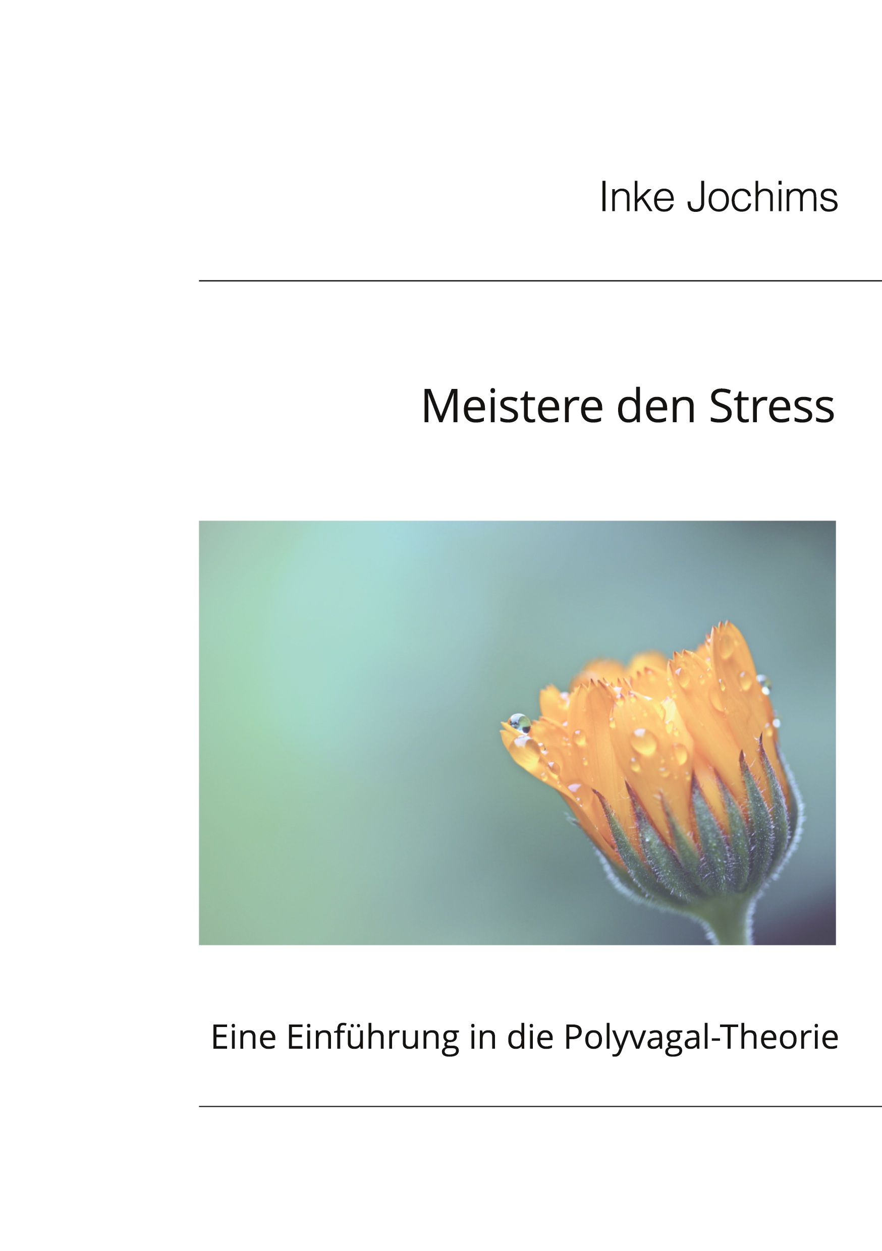 Polyvagal-Theorie Inke Jochims