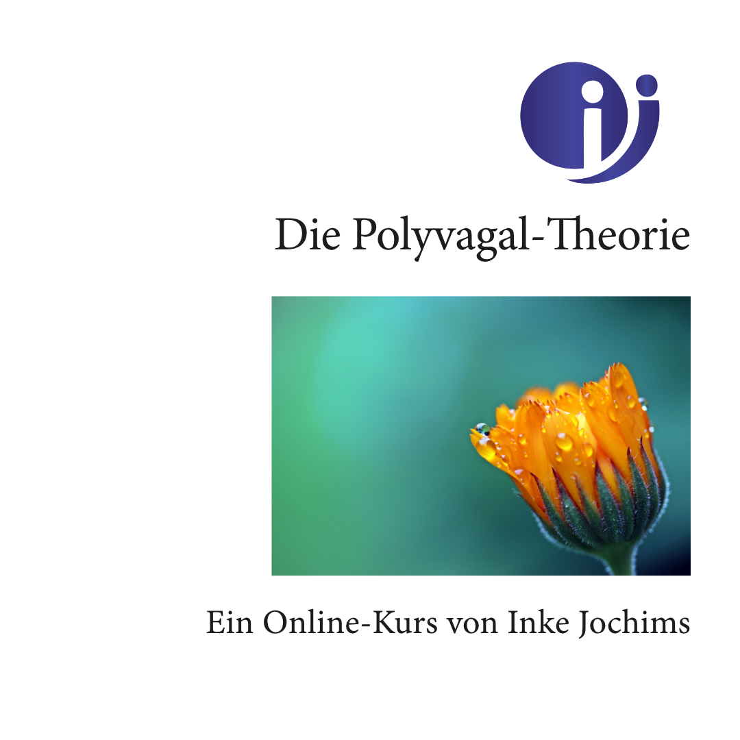 Einführung Polyvagal-Theorie Inke Jochims